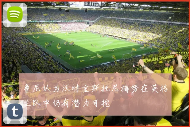 鲁尼认为沃特金斯托尼梅努在英格兰队中仍有潜力可挖